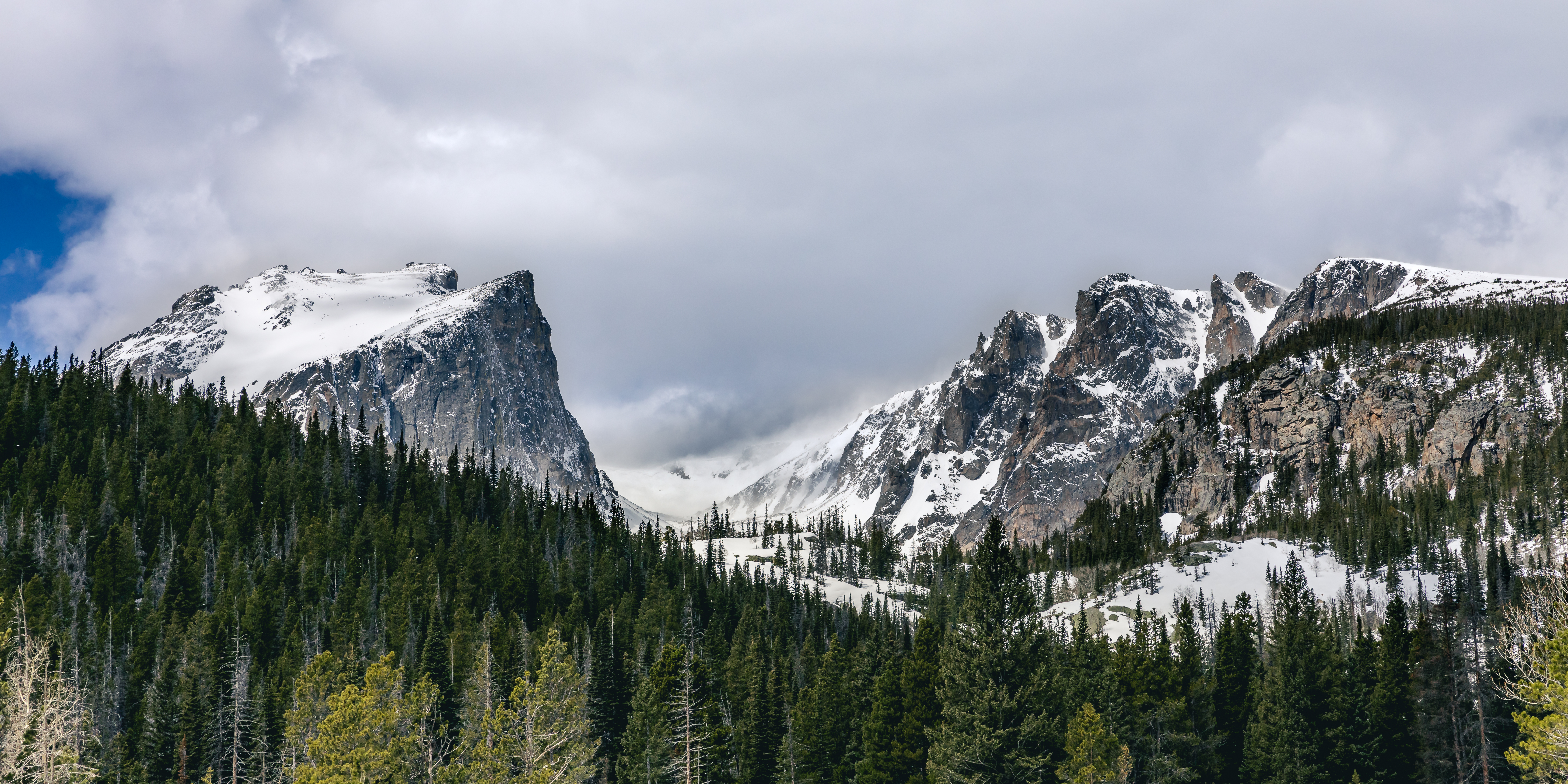 Snowy Rocky Mountain peaks above evergreen forest